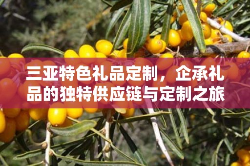 三亚特色礼品定制，企承礼品的独特供应链与定制之旅