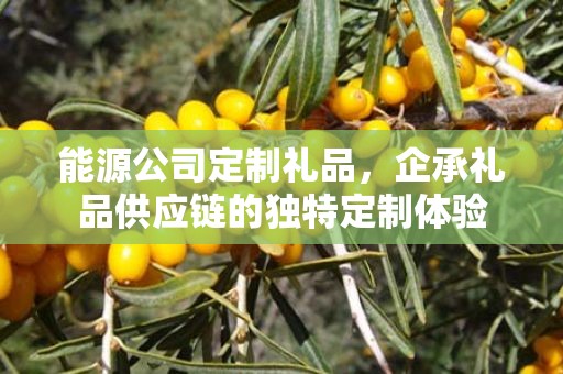 能源公司定制礼品，企承礼品供应链的独特定制体验